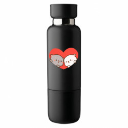 Термобутылки Viano