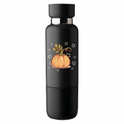 Термобутылки Viano