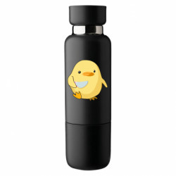 Термобутылки Viano