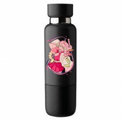 Термобутылки Viano