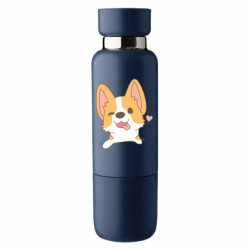 Термобутылки Viano