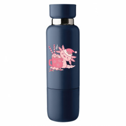 Термобутылки Viano