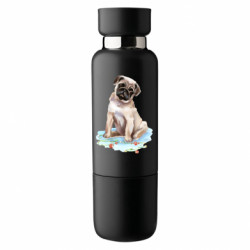 Термобутылки Viano