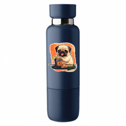 Термобутылки Viano