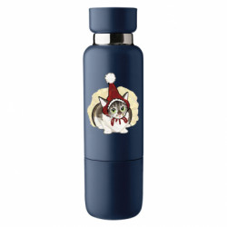 Термобутылки Viano