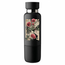 Термобутылки Viano