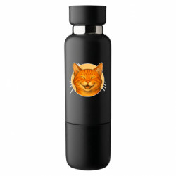 Термобутылки Viano