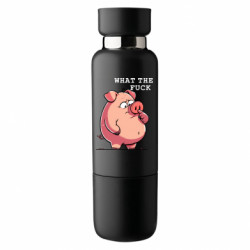 Термобутылки Viano