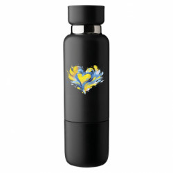 Термобутылки Viano