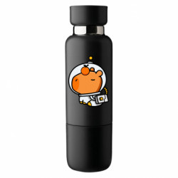 Термобутылки Viano