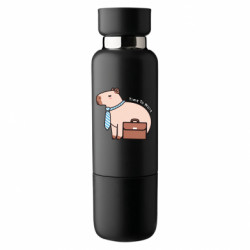 Термобутылки Viano