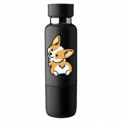 Термопляшки Viano