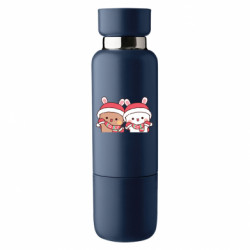 Термобутылки Viano