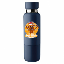 Термобутылки Viano