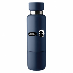 Термобутылки Viano