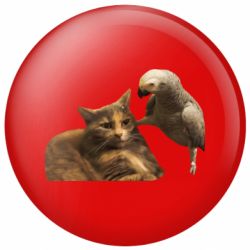 Значки